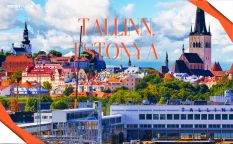 TrendyFlight Öneriyor: Tallinn, Estonya